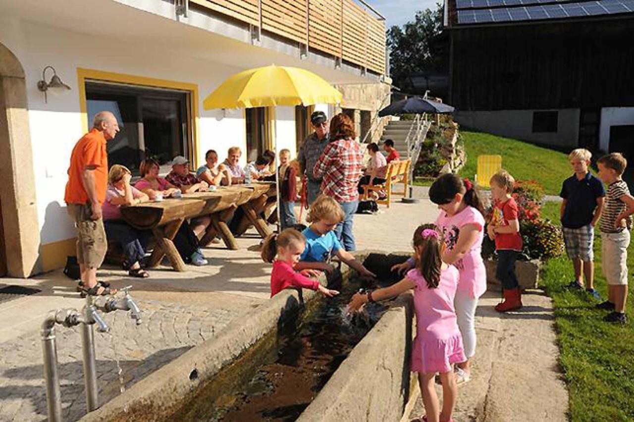 Exenbacher Hof Traumbauernhaus S'Haisl Arnbruck Exteriér fotografie
